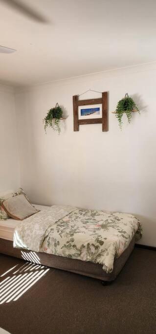 בסלטון Abbey Beach Cottage מראה חיצוני תמונה
